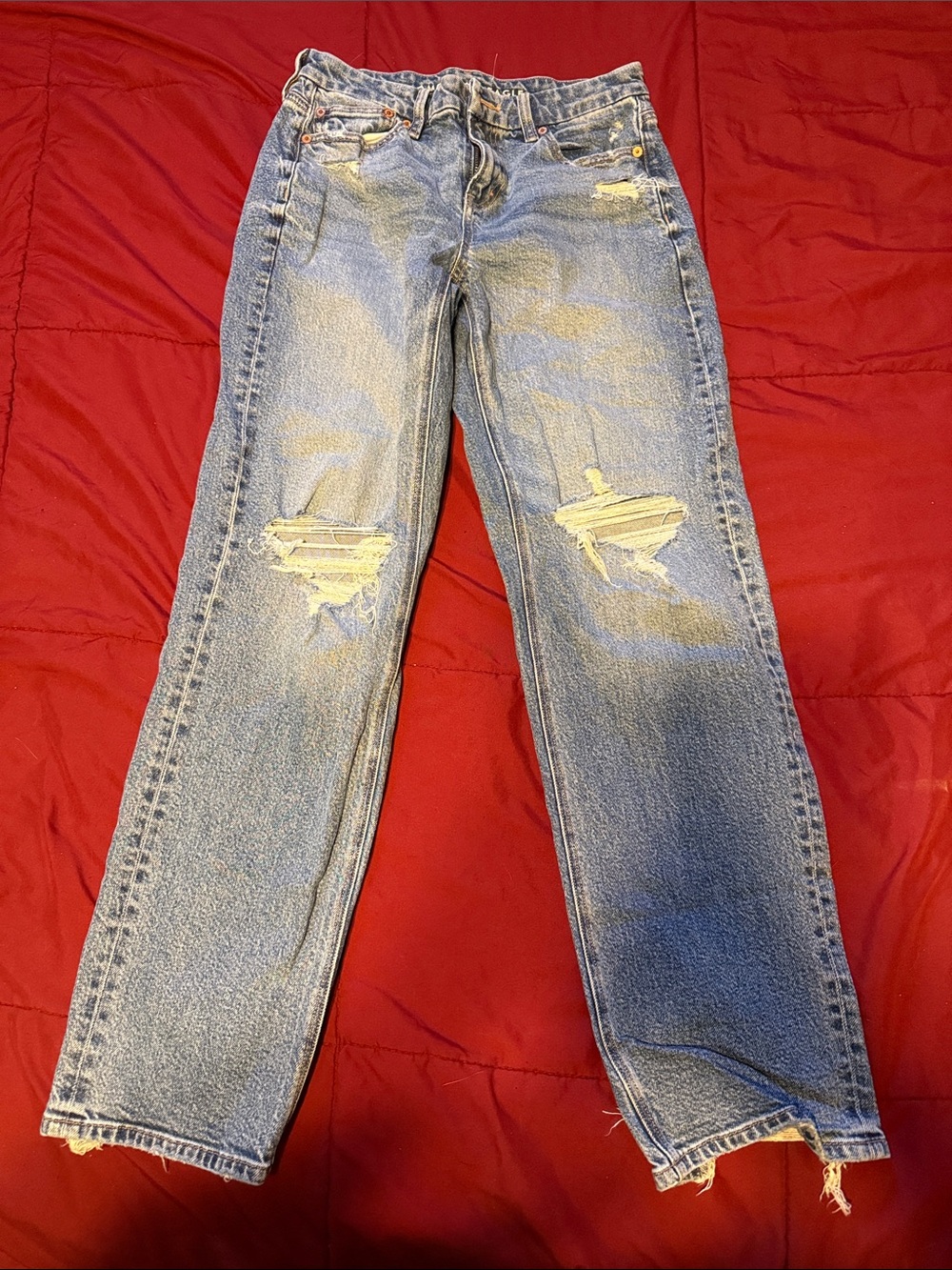 American Eagle Outfitters Women’s Boyfriend Ripped Jeans - Light Blue